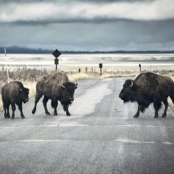 Mediation bij echtscheiding of nalatenschap | Partners in Mediation afbeelding Mediation bij echtscheiding of nalatenschap | Partners in Mediation afbeelding